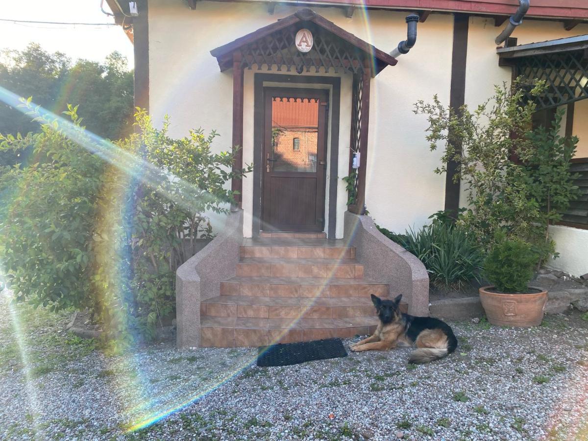 Villa Mlyn Wodny Eko Hillar Rybno  Exterior foto
